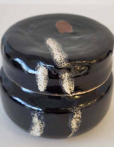 Oeuvre Pascale Robakowski