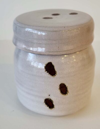 Oeuvre Pascale Robakowski