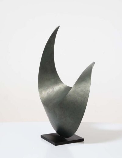 Francis Guerrier (né en 1964) le coq vert (2023) acier